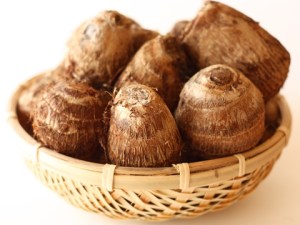 141030_ooshima012_480_360