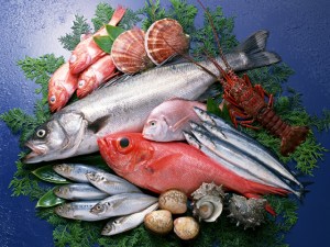 gc_gptActImage20090501065630