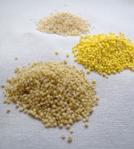 あわ・きび・ひえ-16-コピー_R-270x300