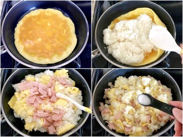 Collage_eggfriedrice